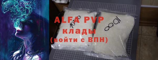 ПСИЛОЦИБИНОВЫЕ ГРИБЫ Сясьстрой