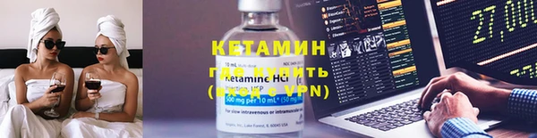 молекула духа Вяземский