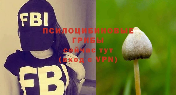 винт Тайга