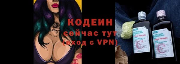 apvp Вязьма