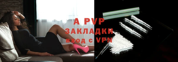 молекула духа Вяземский