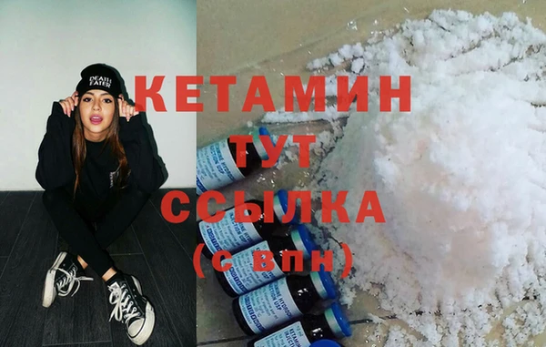 молекула духа Вяземский