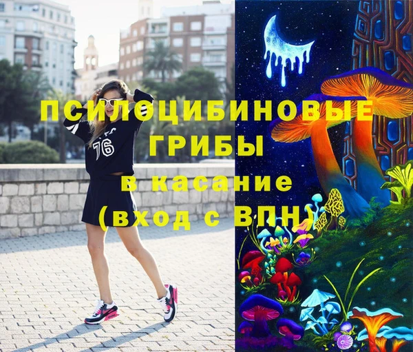 apvp Вязьма