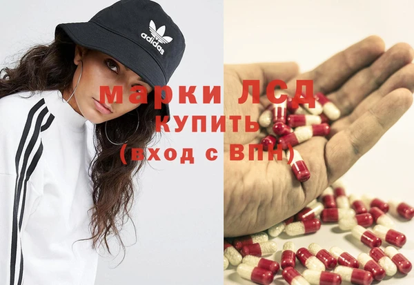 apvp Вязьма