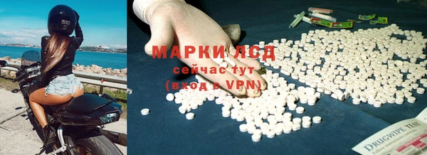 молекула духа Вяземский