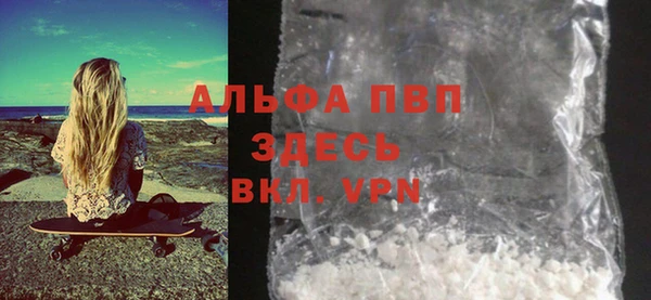 винт Тайга