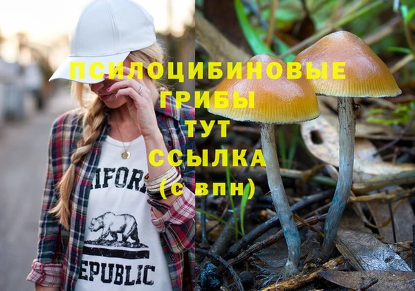 apvp Вязьма