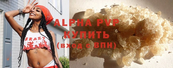 ПСИЛОЦИБИНОВЫЕ ГРИБЫ Сясьстрой