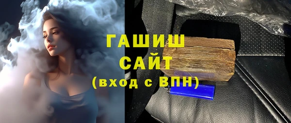 молекула духа Вяземский