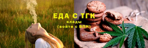 винт Тайга