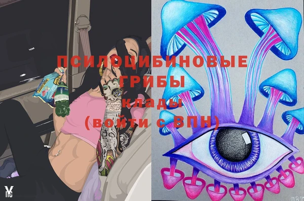 ПСИЛОЦИБИНОВЫЕ ГРИБЫ Сясьстрой