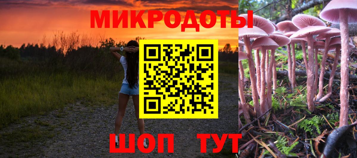 Псилоцибиновые грибы Psilocybe Снежинск