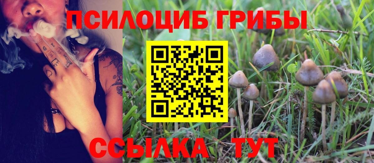 Галлюциногенные грибы Magic Shrooms  Вход с VPN  купить наркоту  Снежинск 